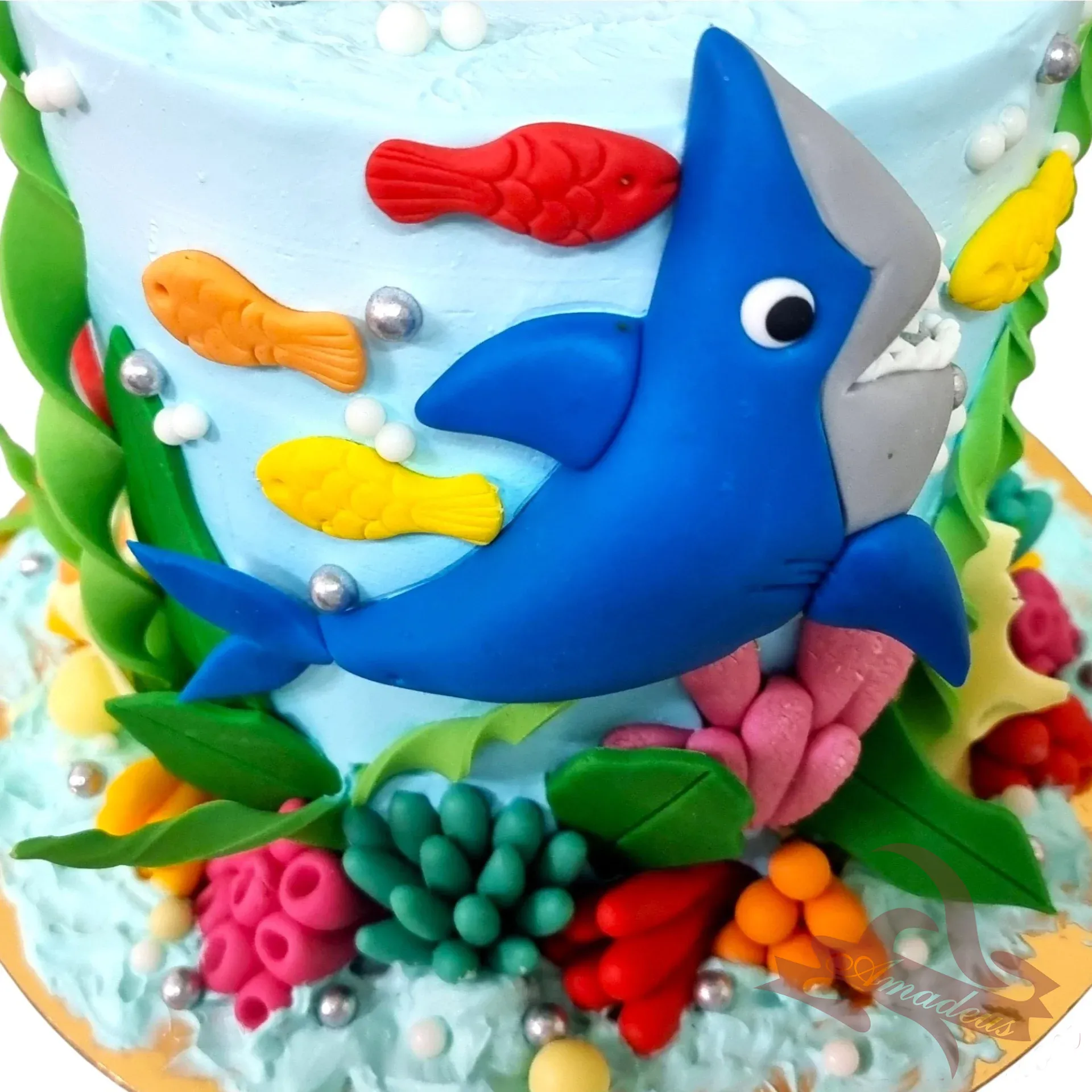 %D0%A2%D0%BE%D1%80%D1%82%D0%B0+%E2%84%961691