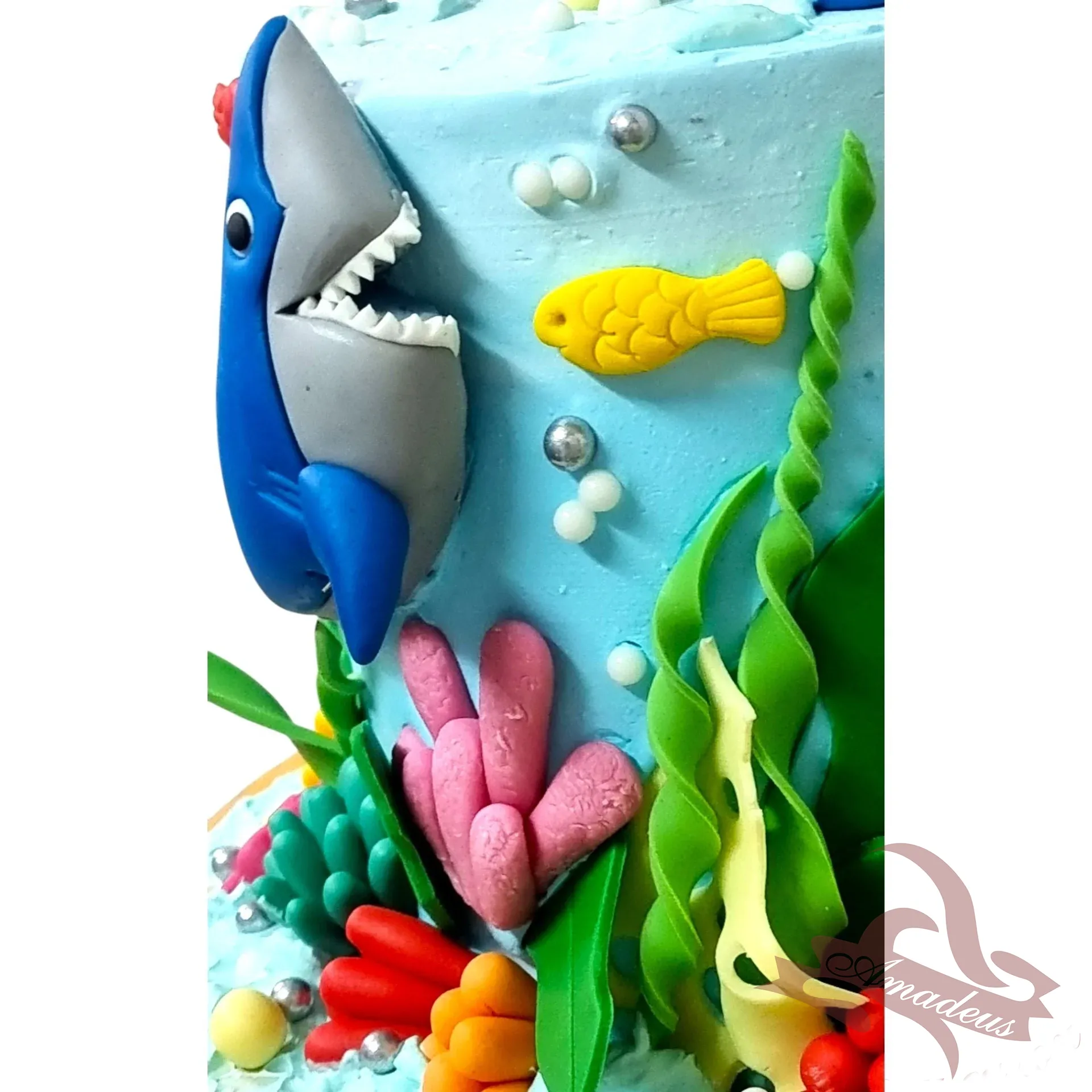 %D0%A2%D0%BE%D1%80%D1%82%D0%B0+%E2%84%961691