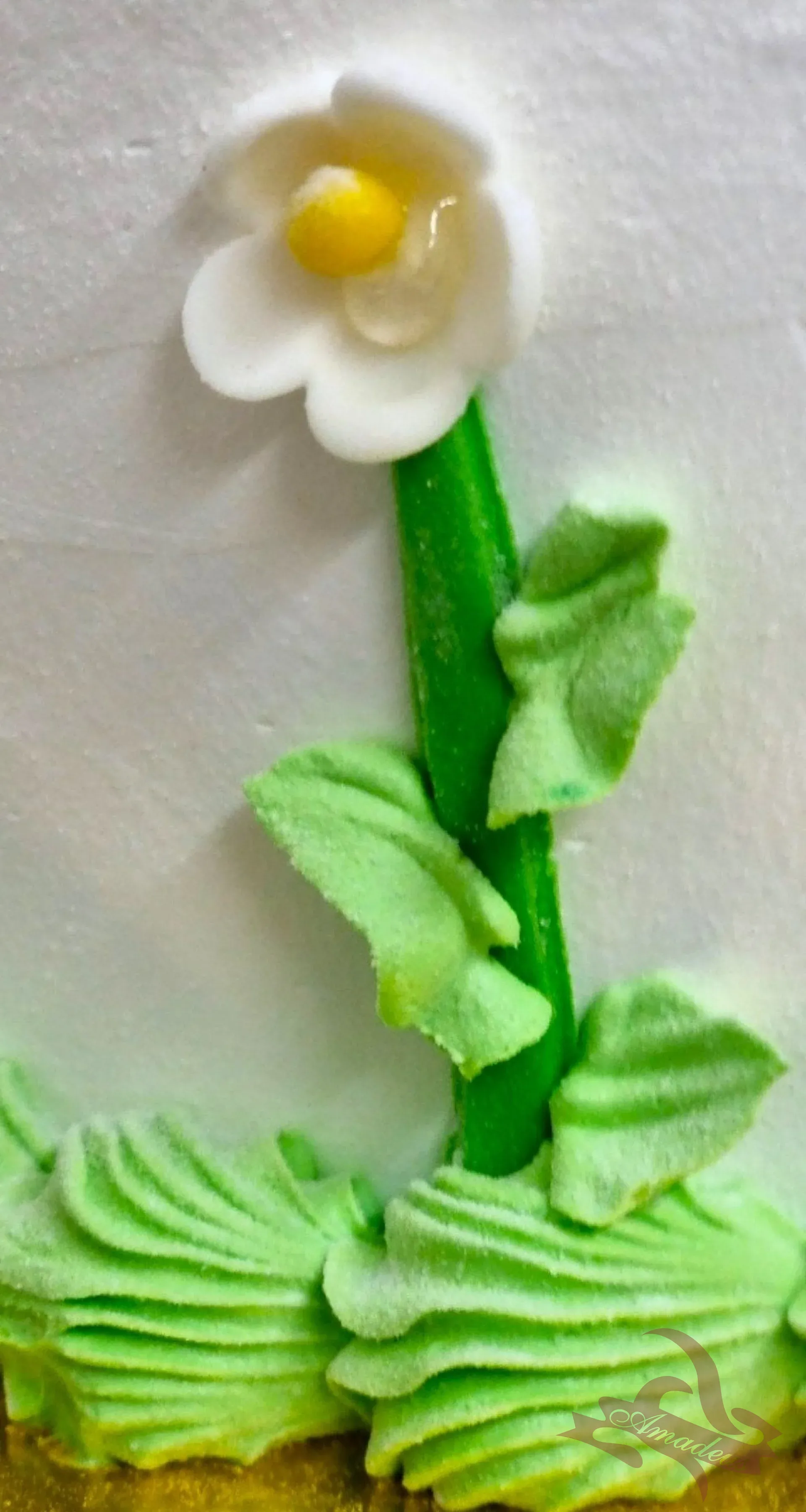 %D0%A2%D0%BE%D1%80%D1%82%D0%B0+%E2%84%961709