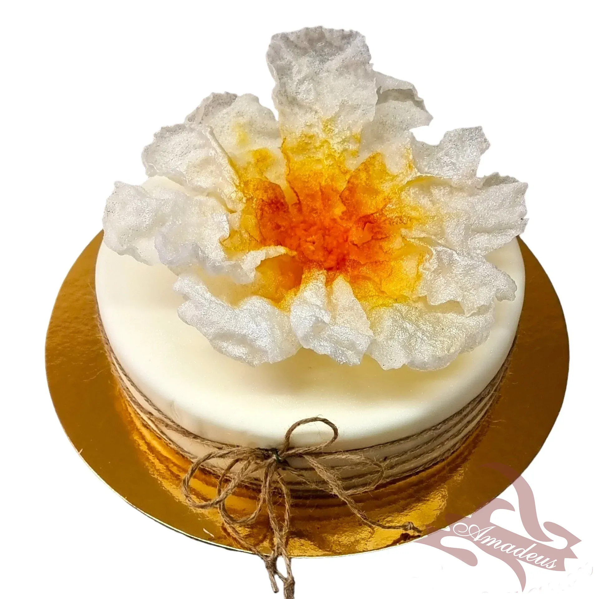 %D0%A2%D0%BE%D1%80%D1%82%D0%B0+%E2%84%963538