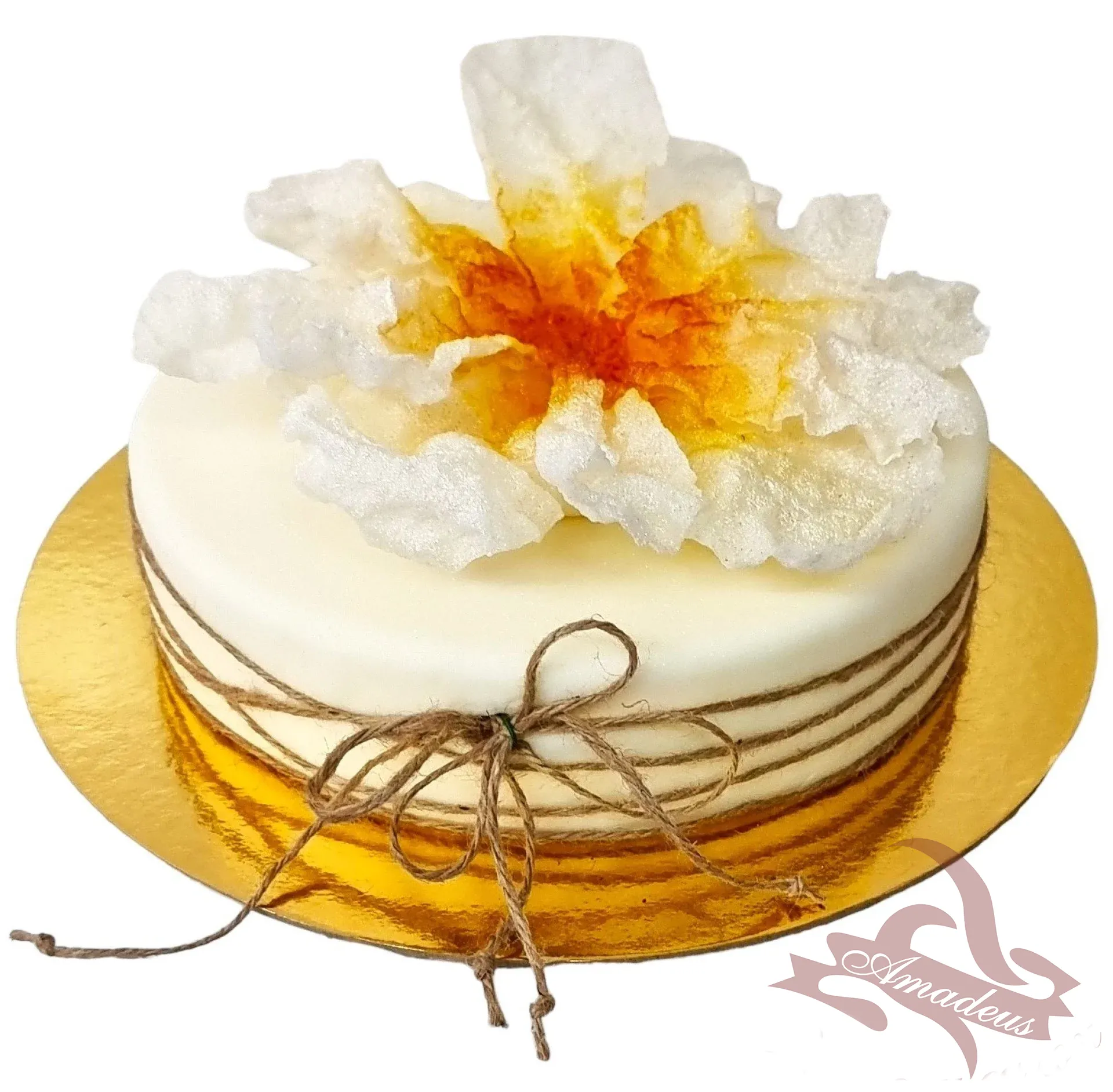 %D0%A2%D0%BE%D1%80%D1%82%D0%B0+%E2%84%963538