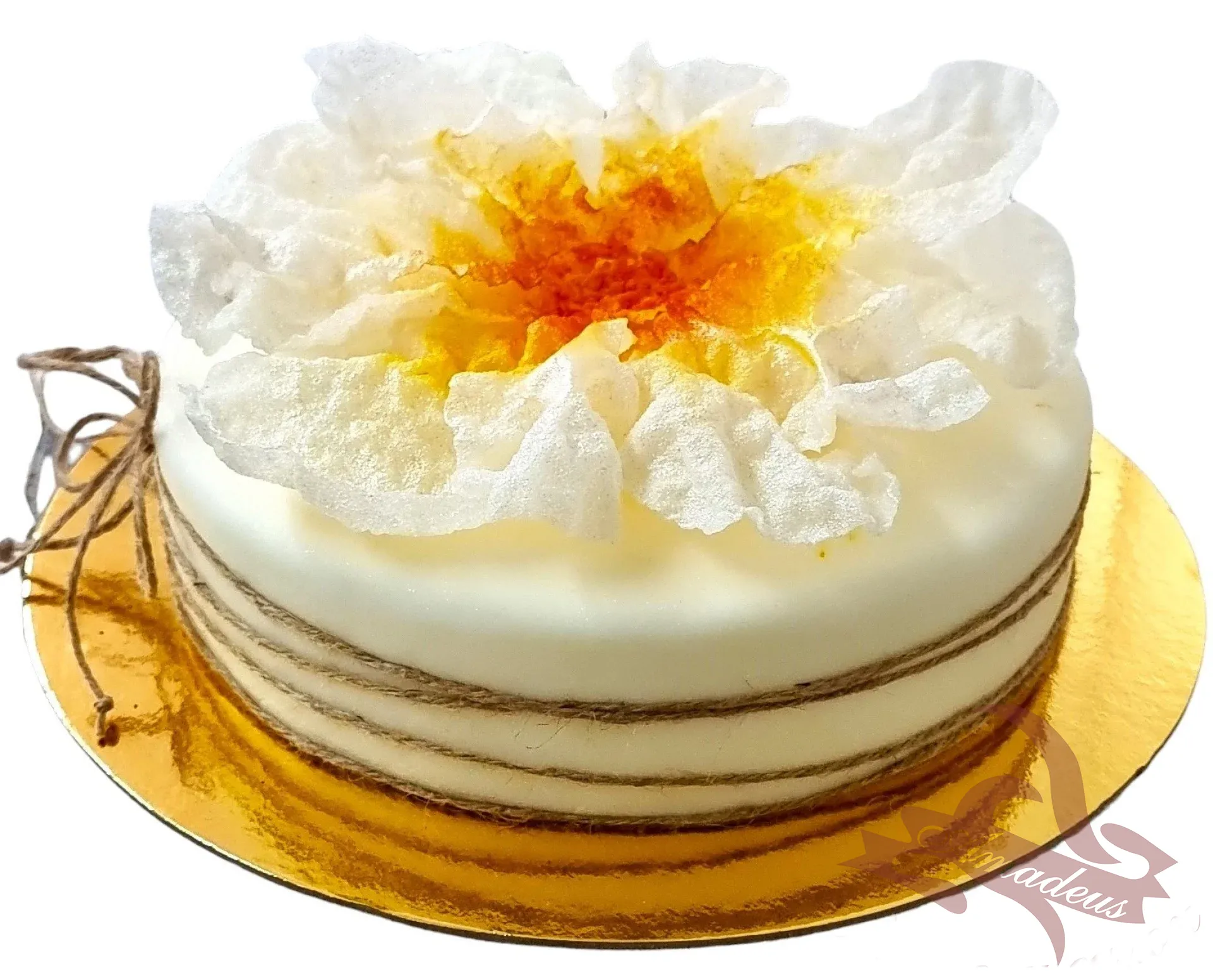 %D0%A2%D0%BE%D1%80%D1%82%D0%B0+%E2%84%963538