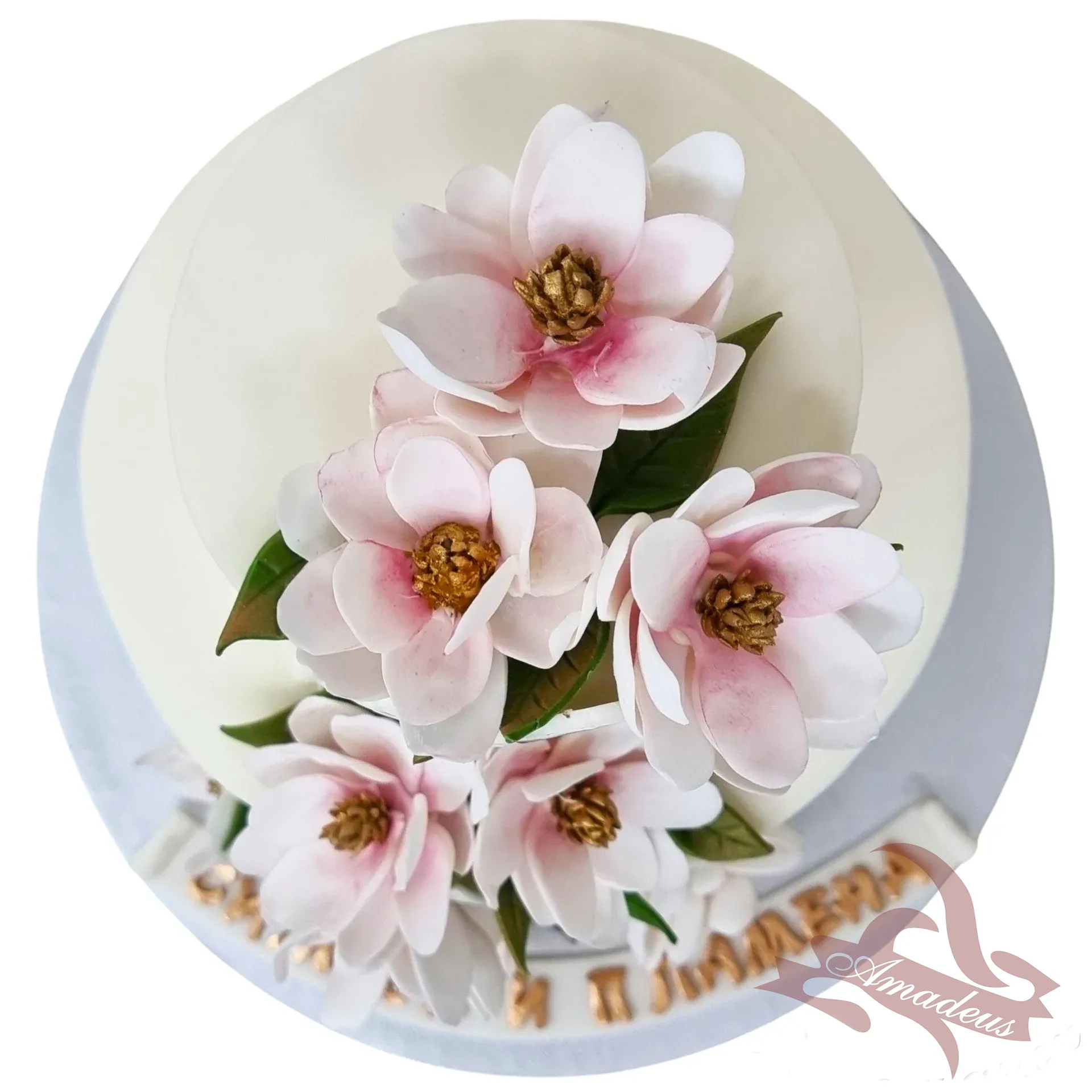 %D0%A2%D0%BE%D1%80%D1%82%D0%B0+%E2%84%965165