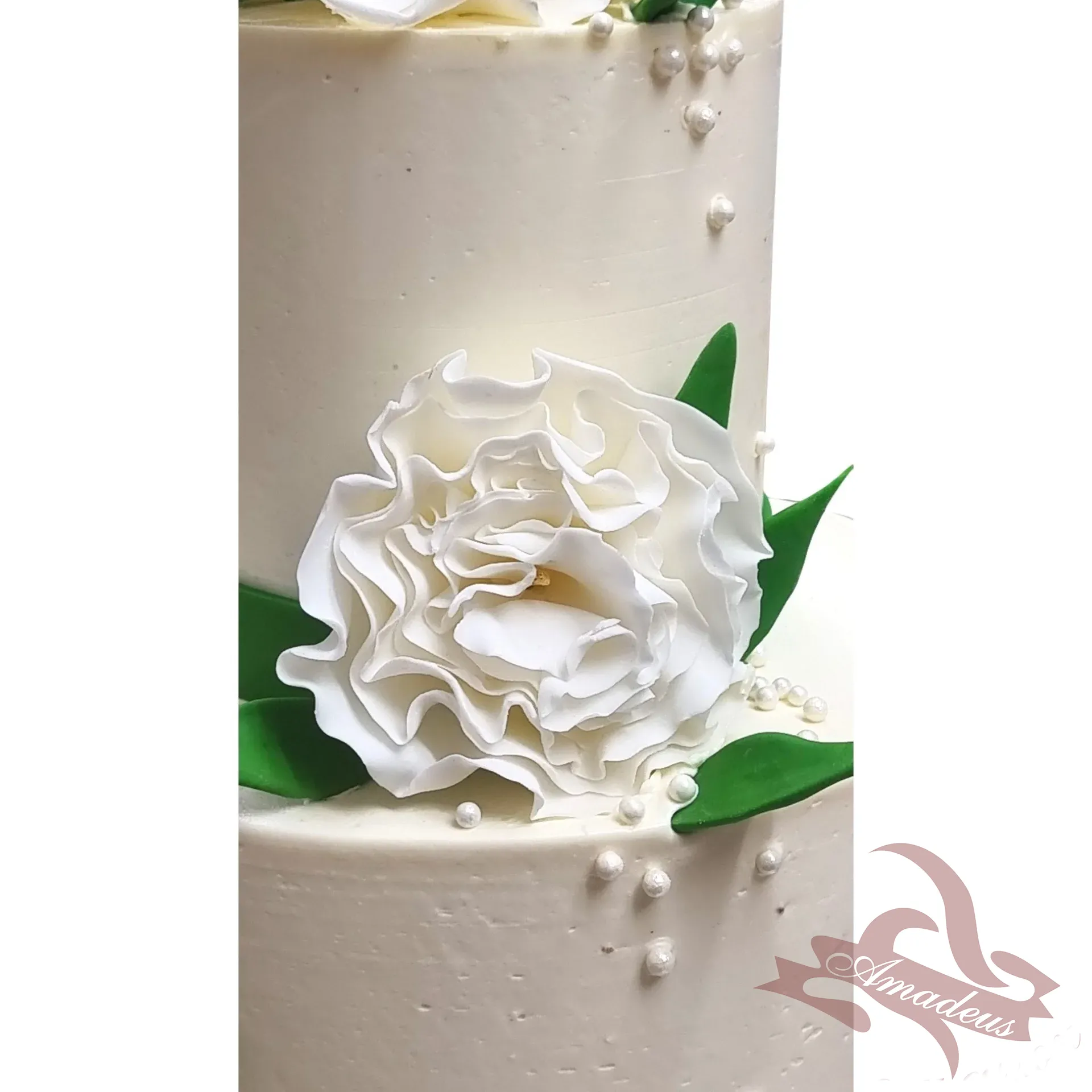 %D0%A2%D0%BE%D1%80%D1%82%D0%B0+%E2%84%965166