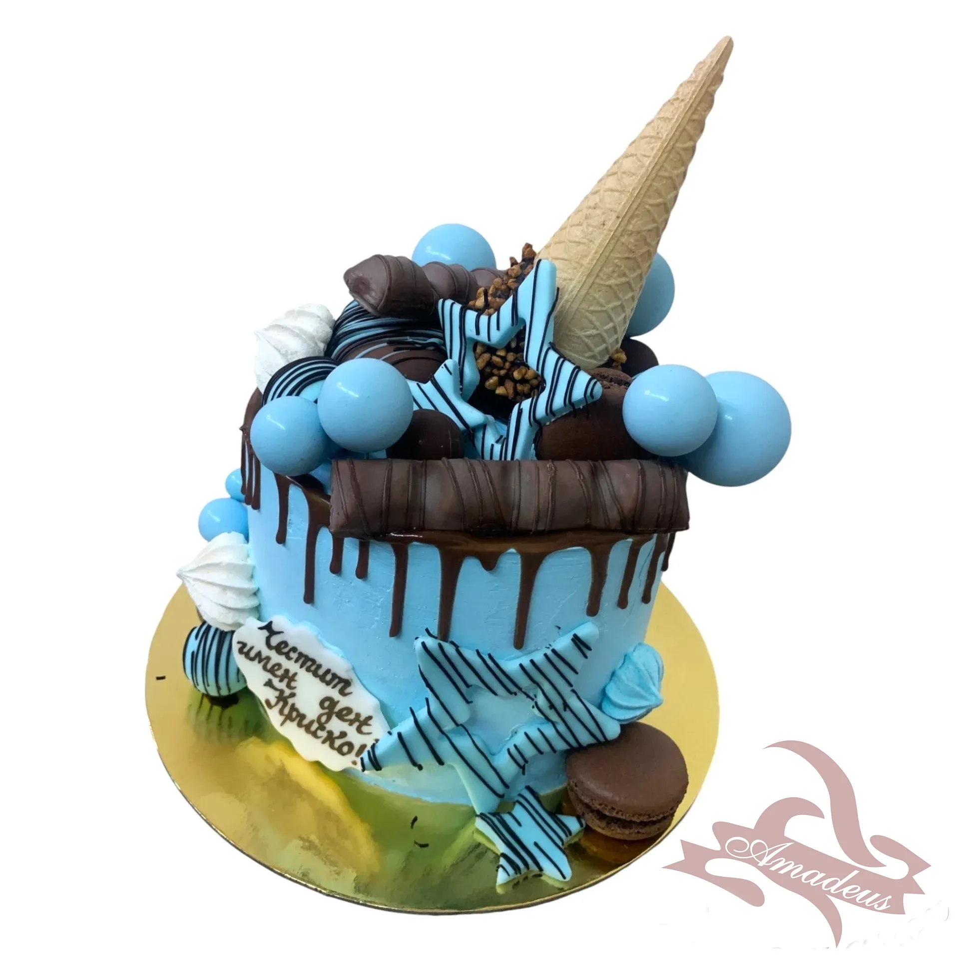 %D0%A2%D0%BE%D1%80%D1%82%D0%B0+%E2%84%966110