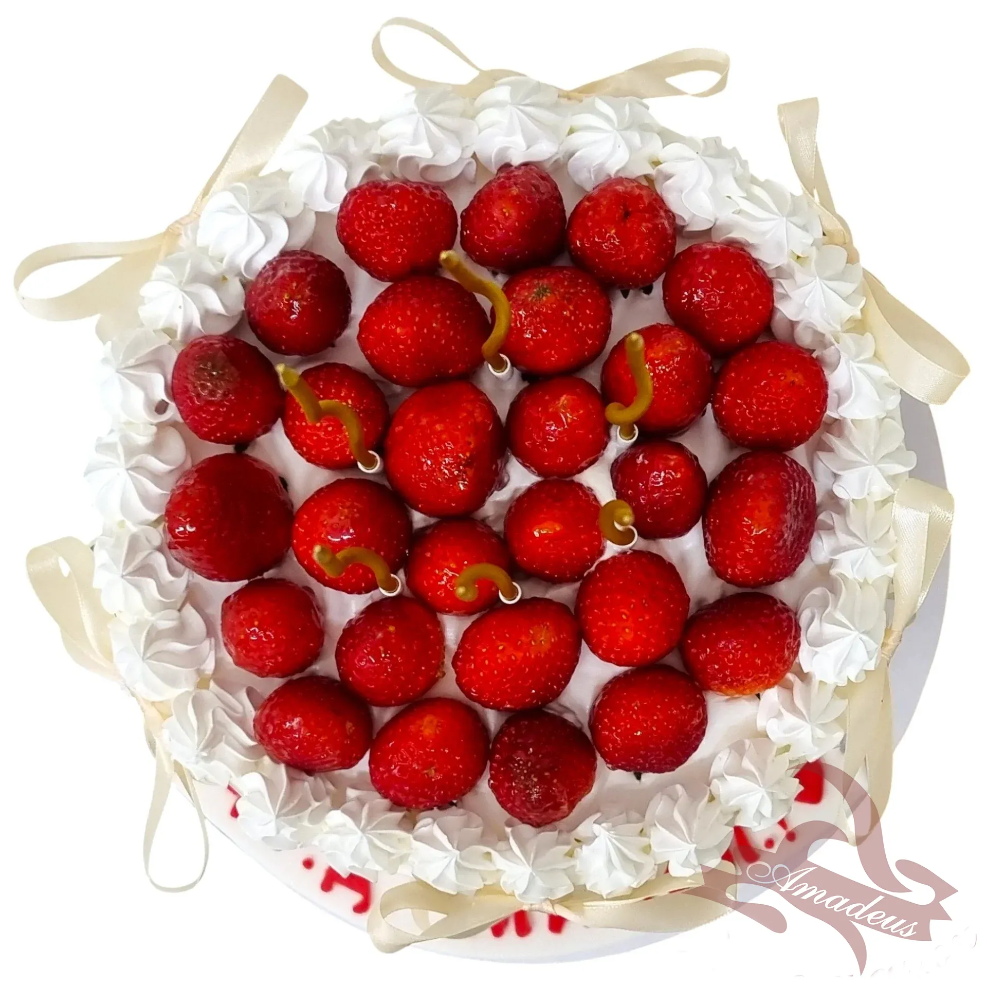 %D0%A2%D0%BE%D1%80%D1%82%D0%B0+%E2%84%966203