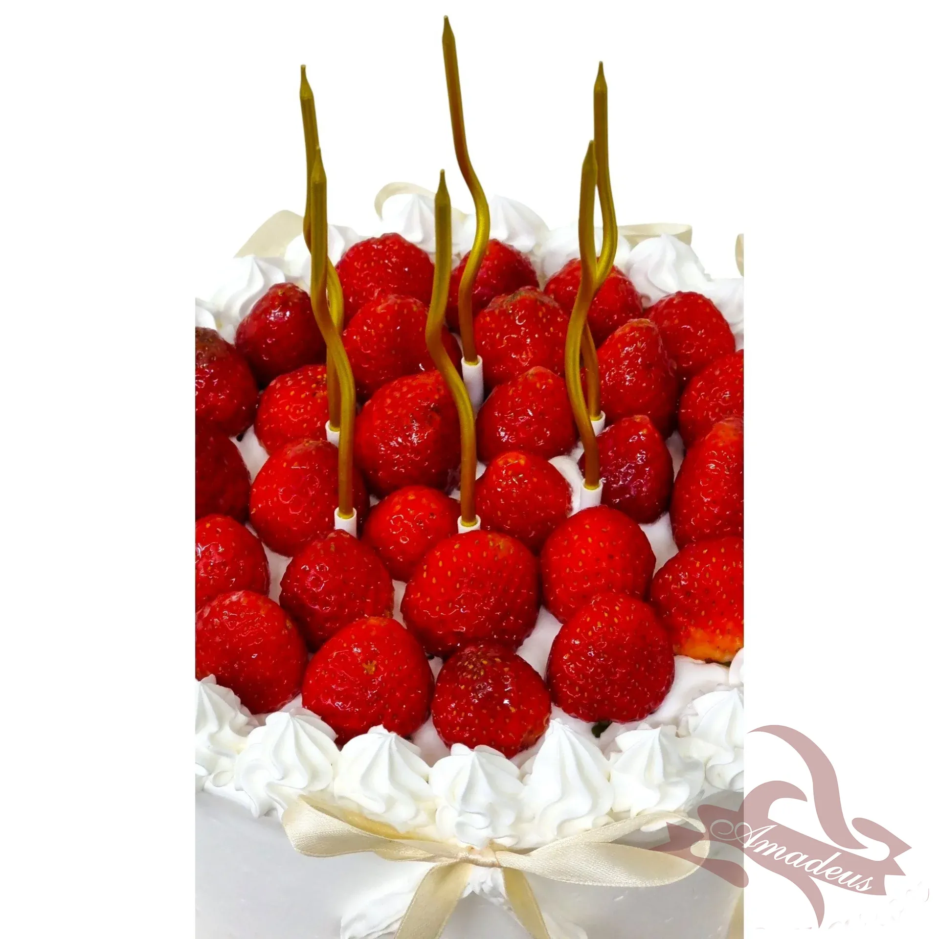 %D0%A2%D0%BE%D1%80%D1%82%D0%B0+%E2%84%966203