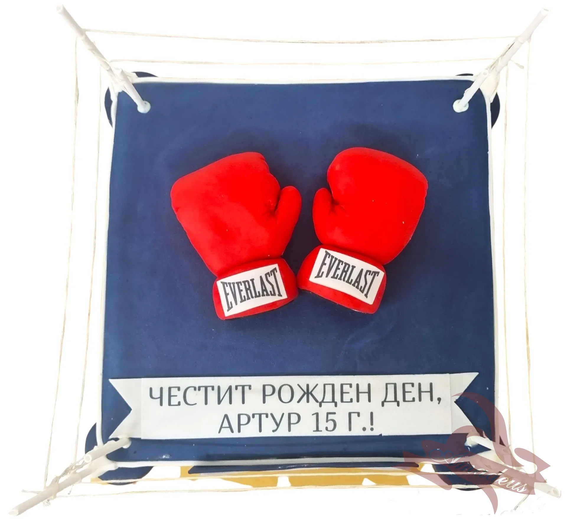 %D0%A2%D0%BE%D1%80%D1%82%D0%B0+%E2%84%96%D0%A2-117