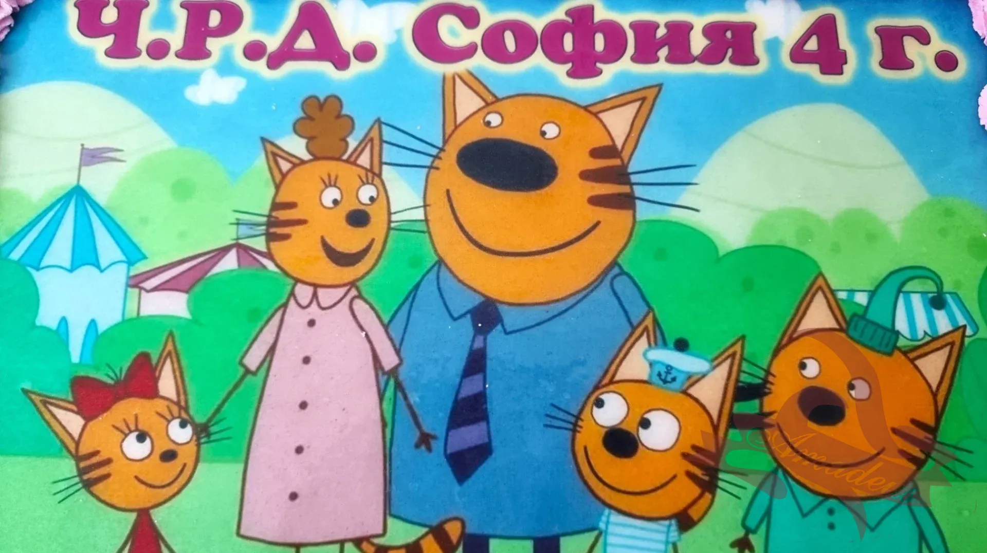 %D0%A2%D0%BE%D1%80%D1%82%D0%B0+%E2%84%96%D0%92-016